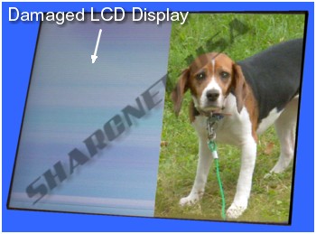 Figure #3: Damaged 3.5" LCD Display